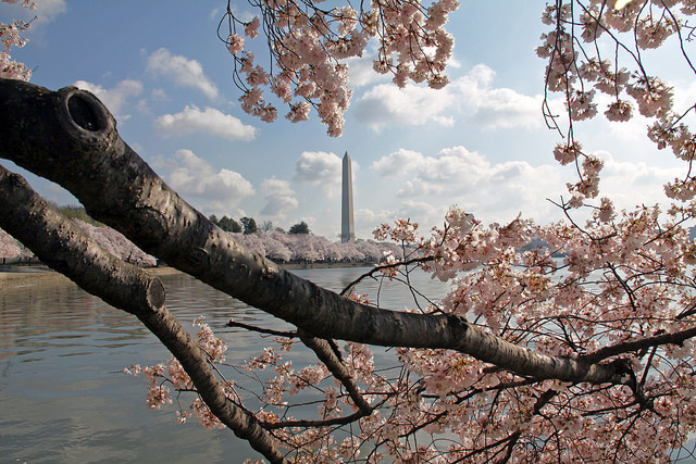 dc_neighborhood_news