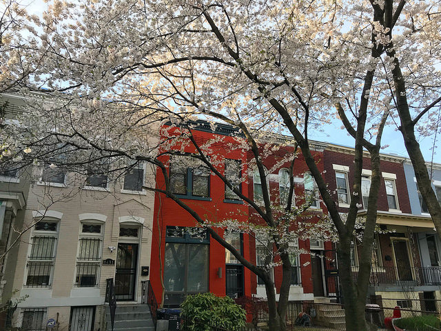 dc_neighborhood_news