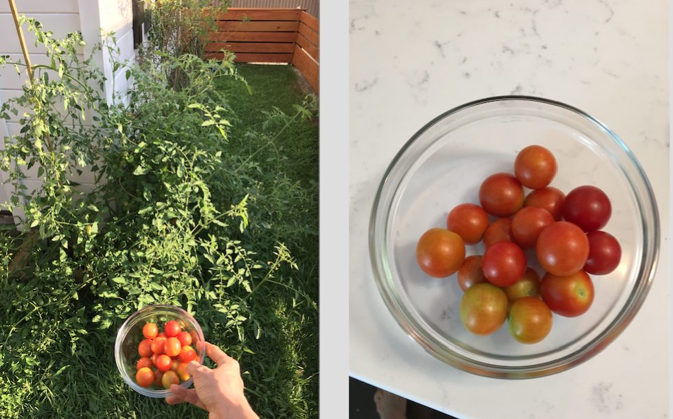 garden haul