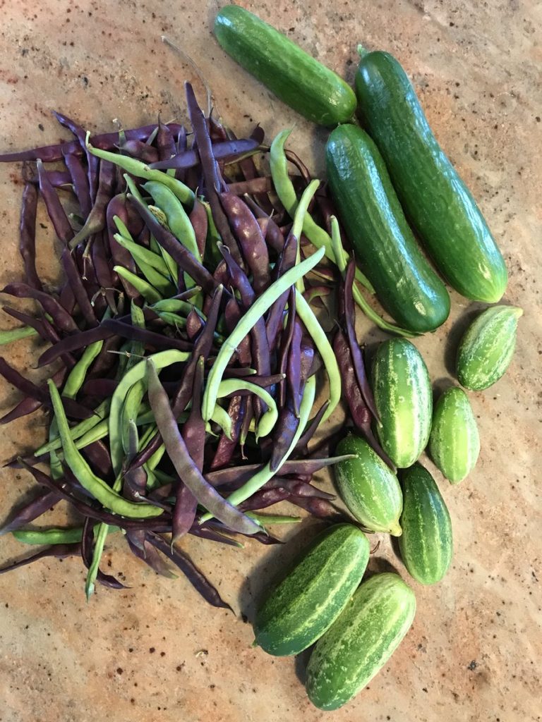 garden haul