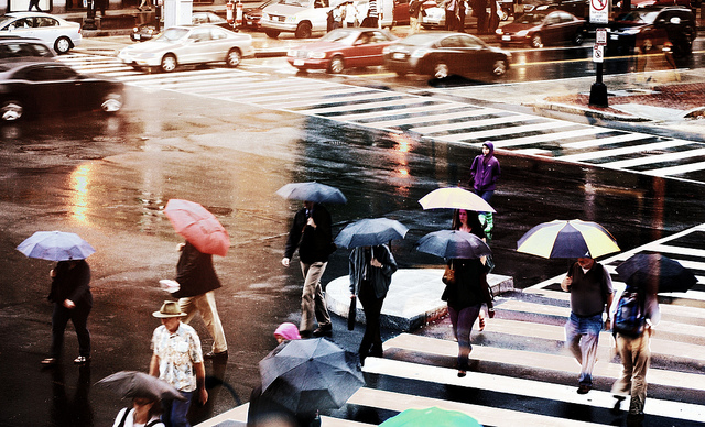 umbrella