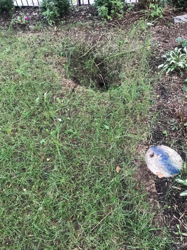 Sink Hole NW