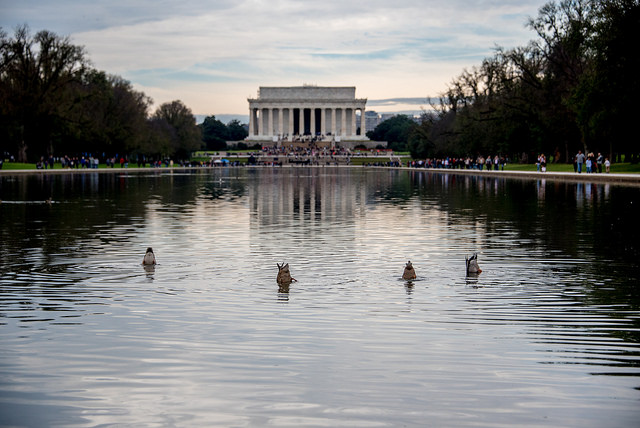 dc_neighborhood_news