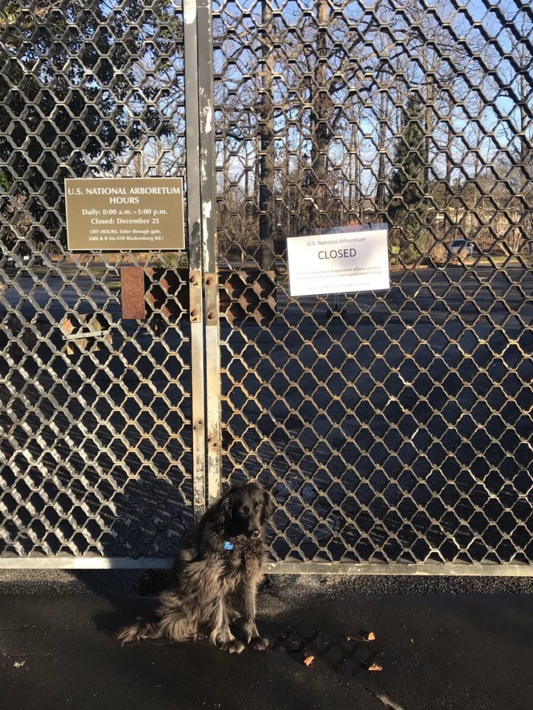 furlough