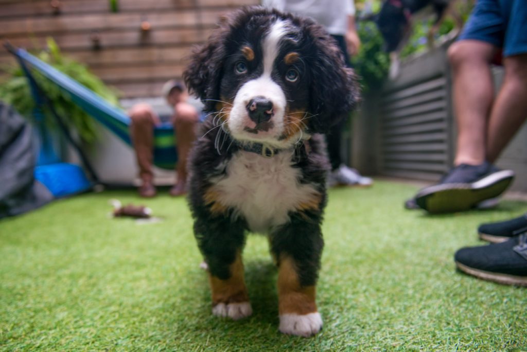 @BarkleyBerner 9 months