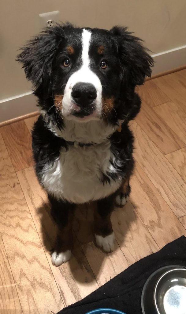 barkley