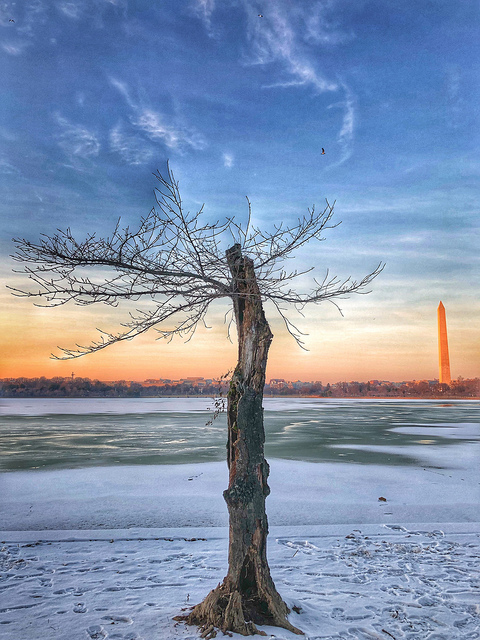 dc_neighborhood_news