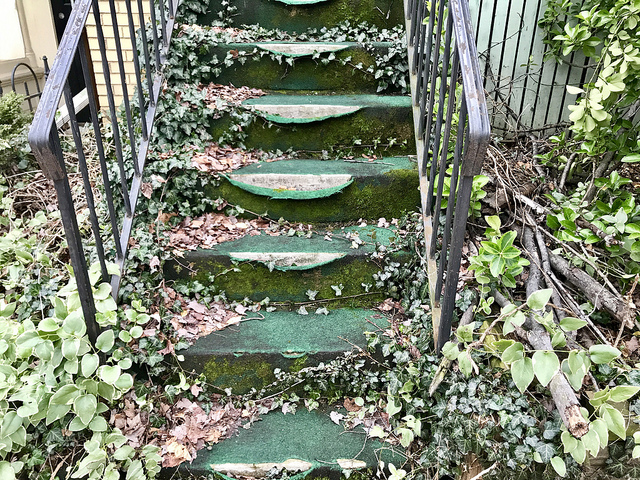 dc_neighborhood_news