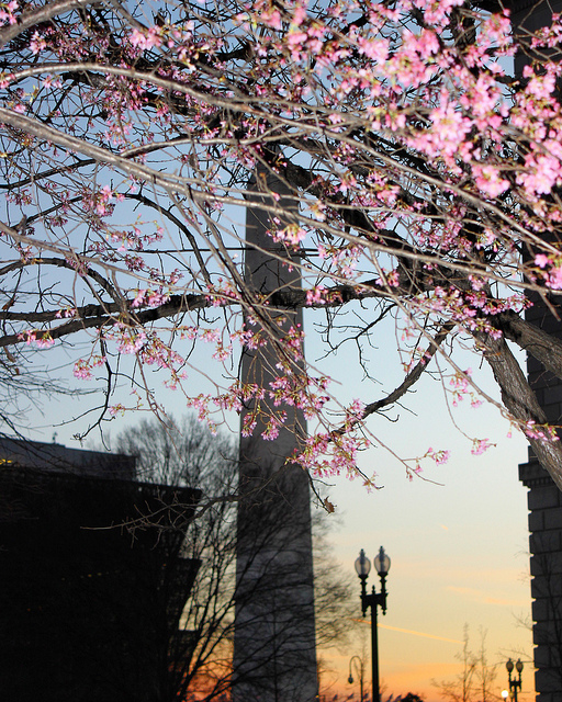 dc_neighborhood_news