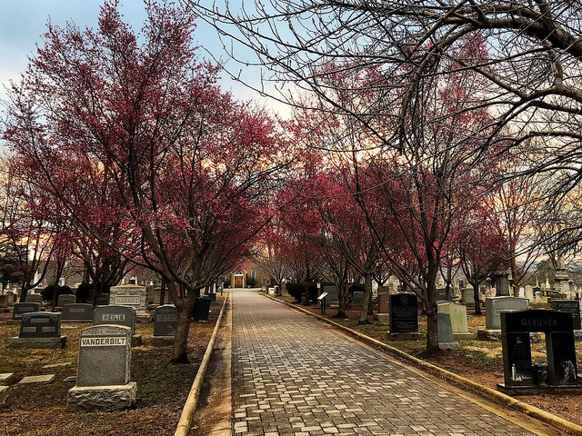 death and taxes