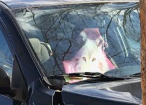 wolf seat cover