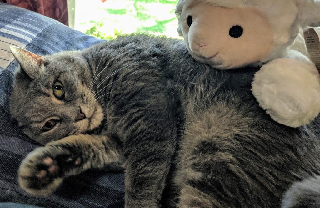 Adoptville Sabrina 7.19.19