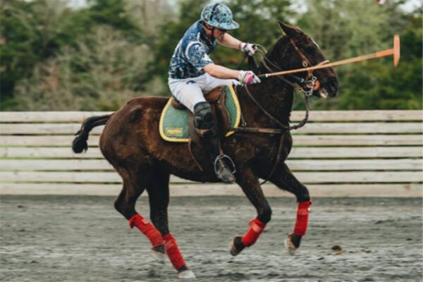DC Polo Society 1