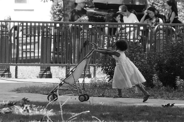 stroller policy
