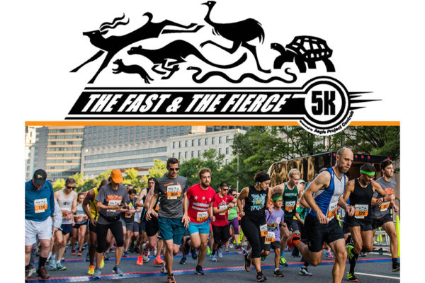 The Fast and The Fierce 5K