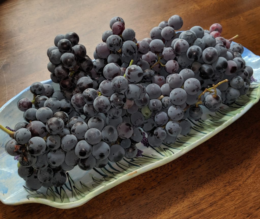 grapes