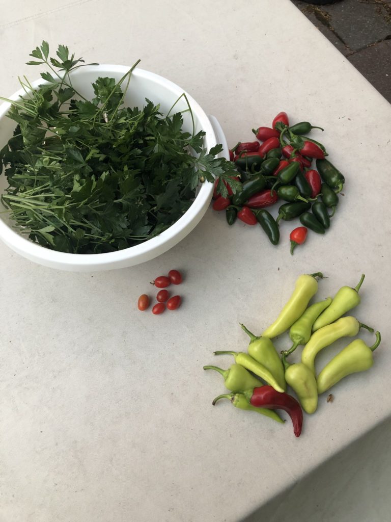 garden haul
