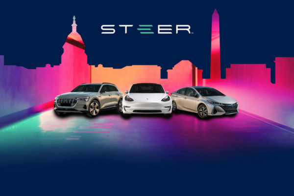 Steer
