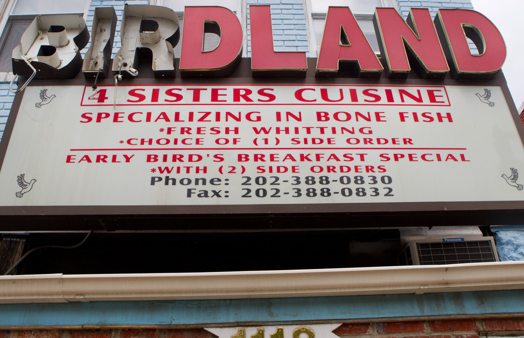 birdland