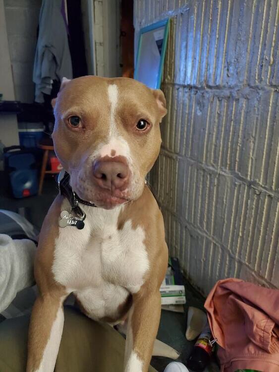 lady found