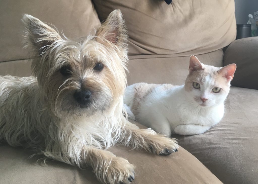 peanut and marty