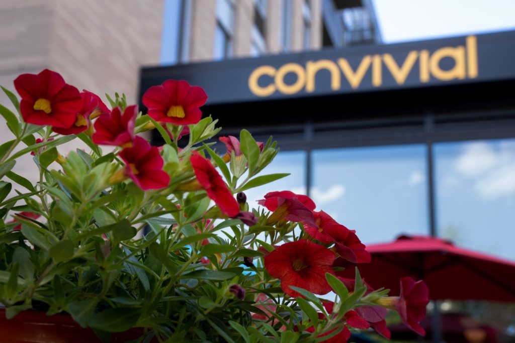 Convivial Exterior Patio