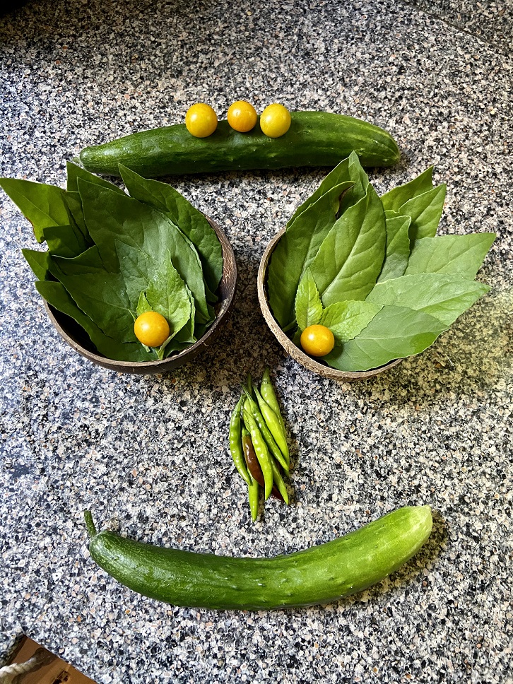 Garden haul