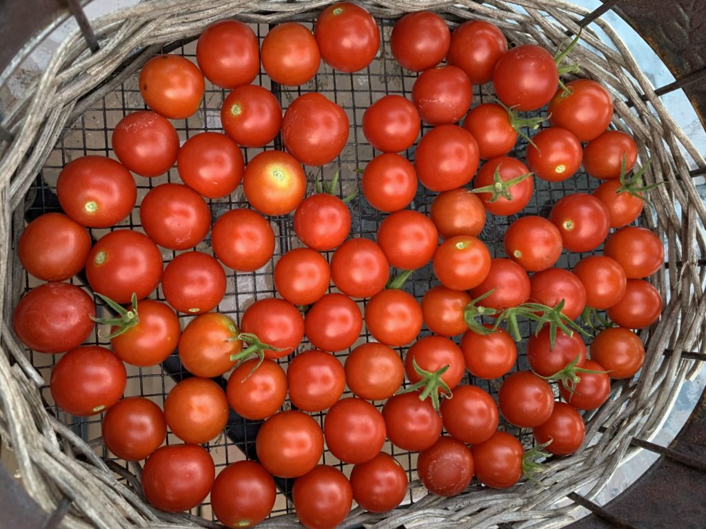 image0