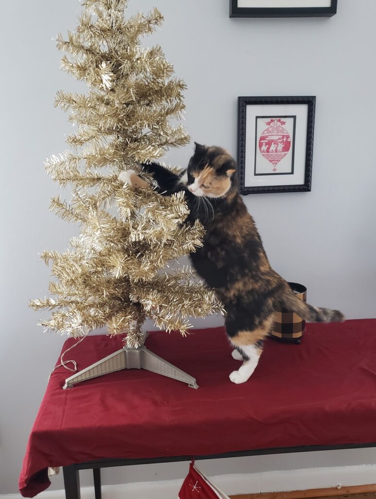 Tree kitty