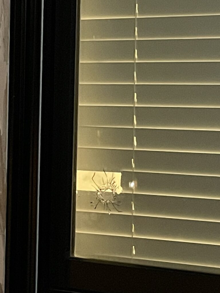 bullet hole