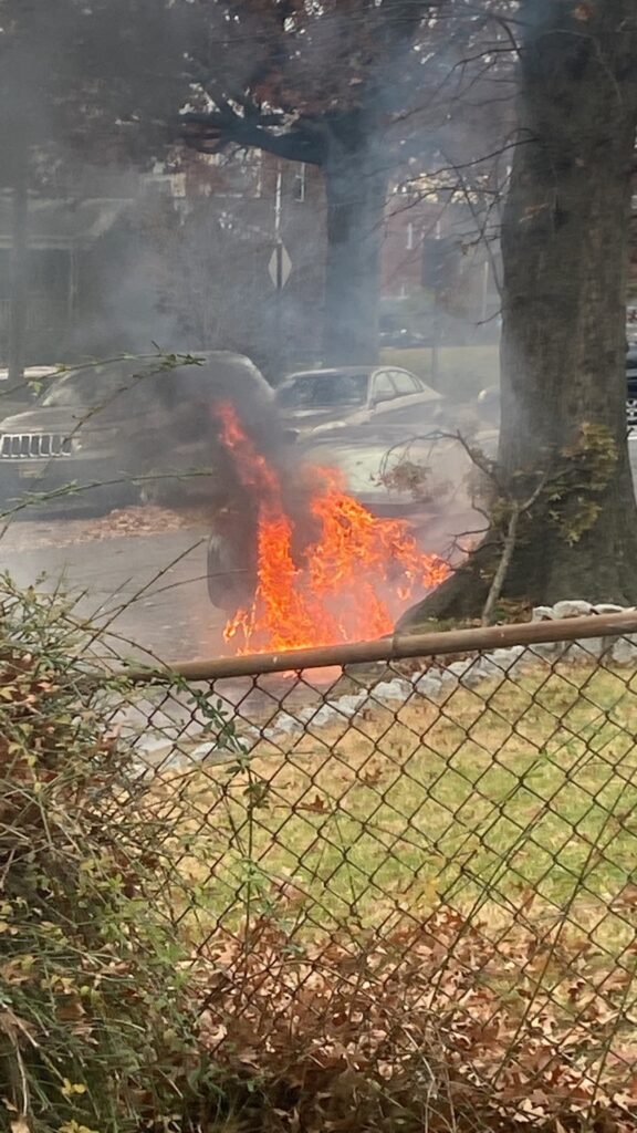 leaf fire