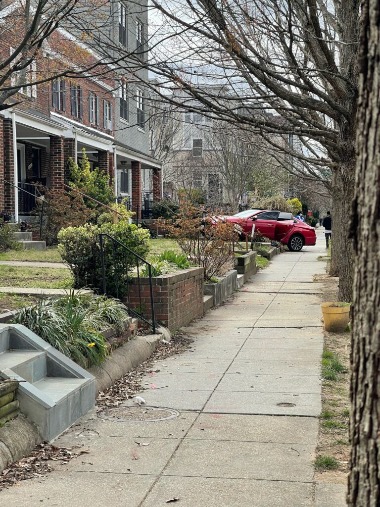 dd popville