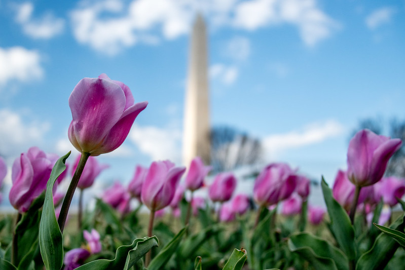 dc_neighborhood_news