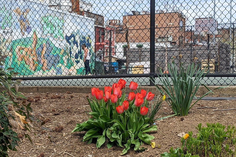 dc_neighborhood_news