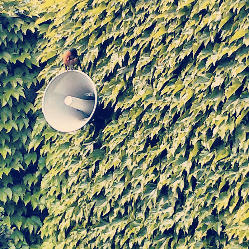 speaker