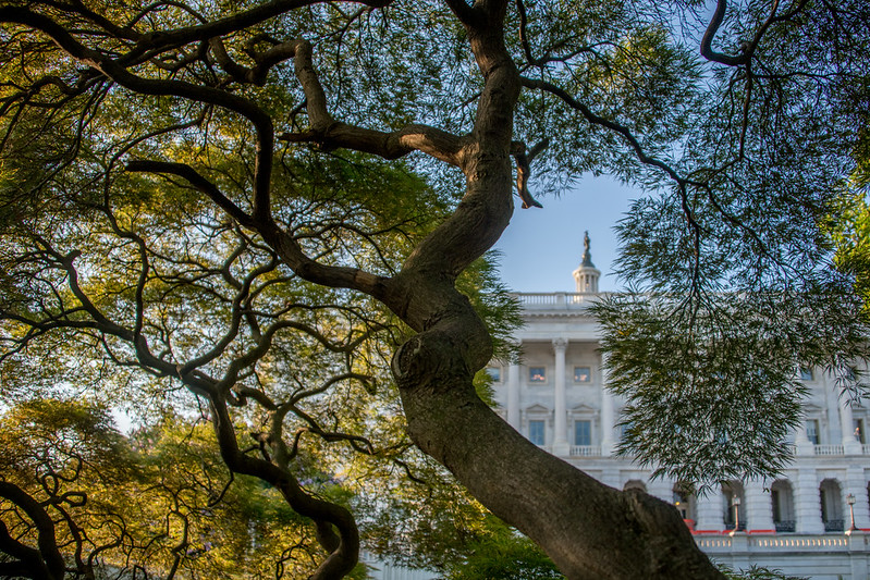 dc_neighborhood_news