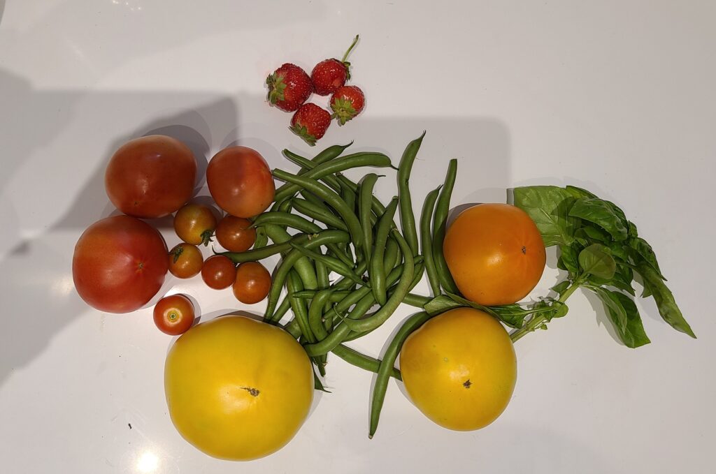 garden haul 20220710
