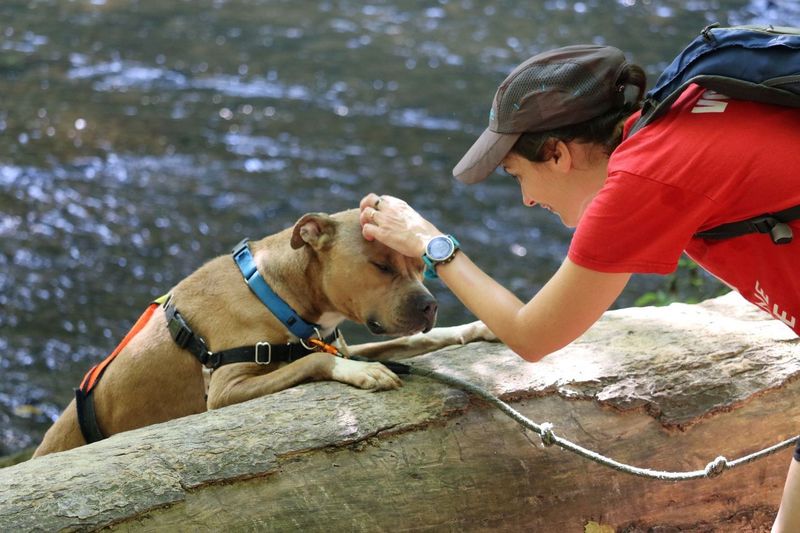 humane rescue