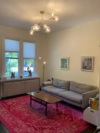 living rug