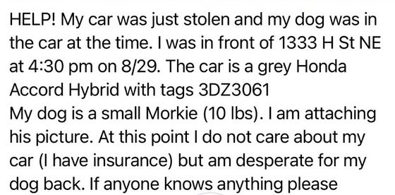 stolen dog