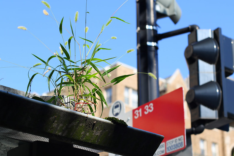 dc_neighborhood_news