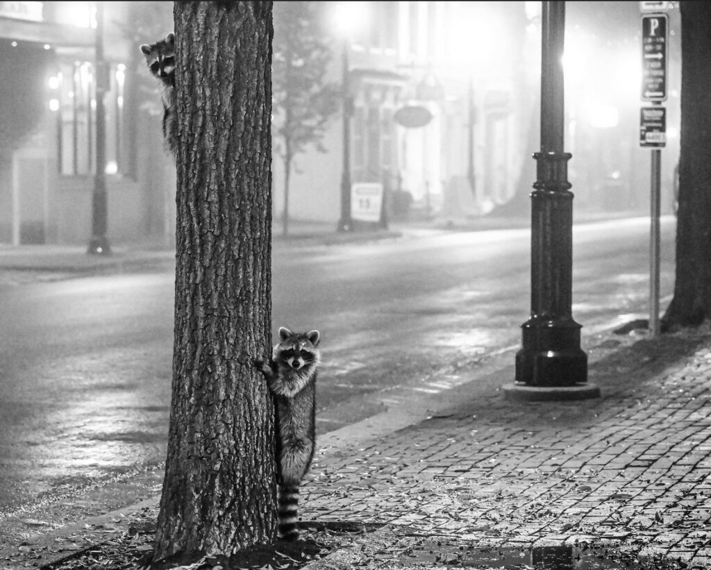 dc_neighborhood_news