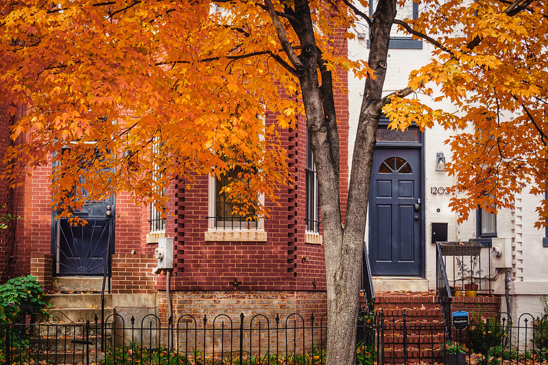 no dogs neighborhood popville