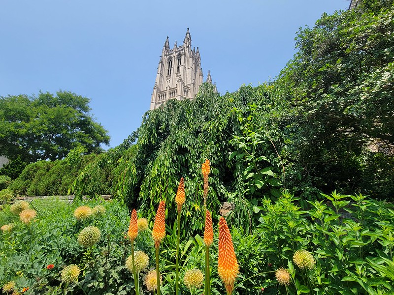 dc_neighborhood_news