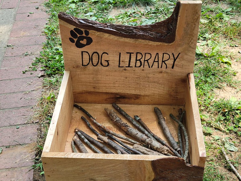 dc_neighborhood_news_dog_library