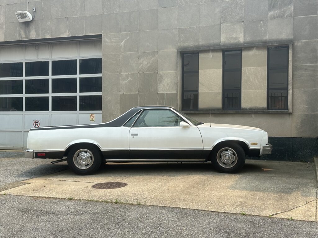 el camino