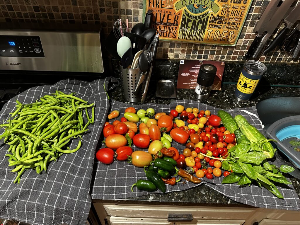 image_50727425