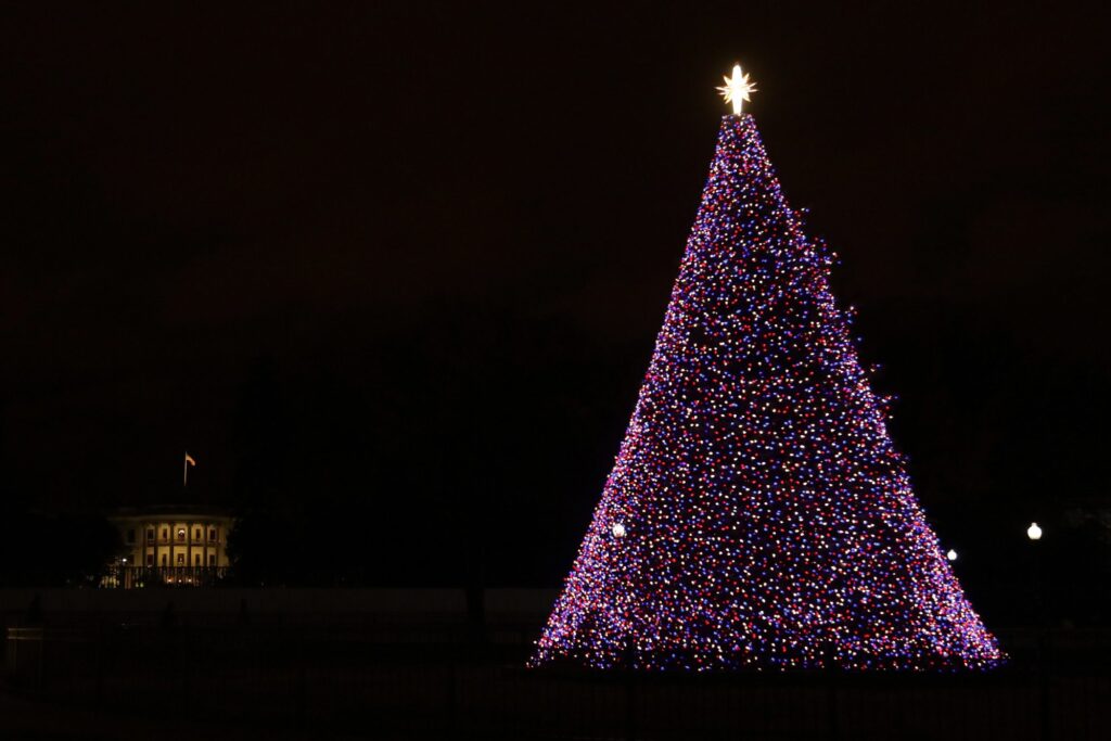 national-christmas-tree