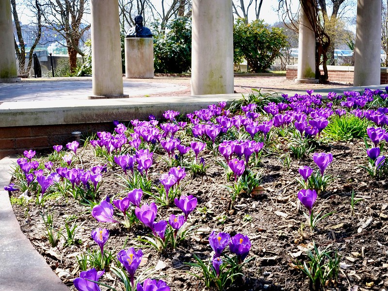 dc_neighborhood_news