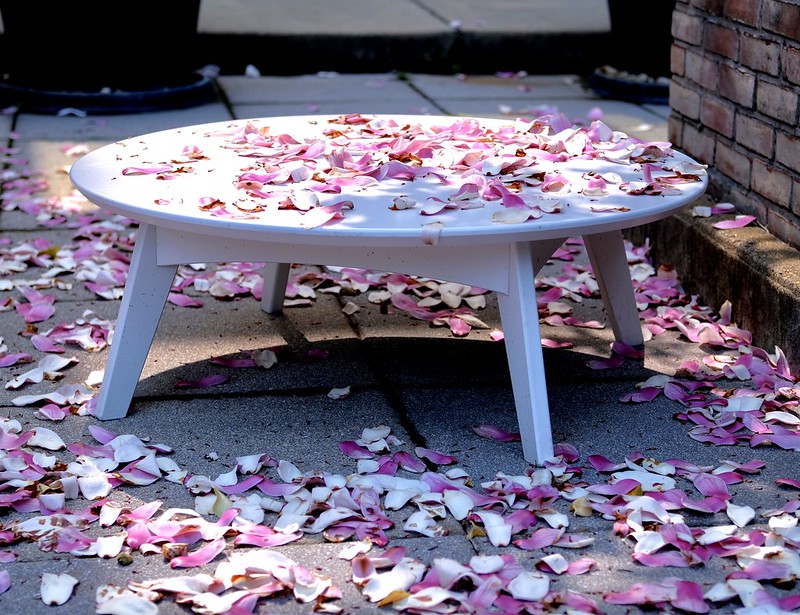 popville patio
